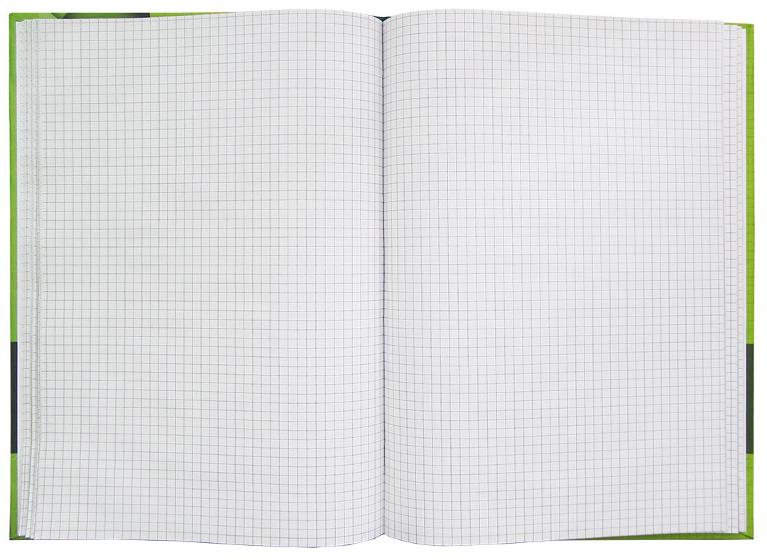 Книга канцелярская A4, 100 л., клетка